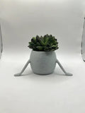 Happy Pot - Mini Succulent Planter