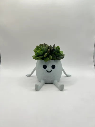 Happy Pot - Mini Succulent Planter